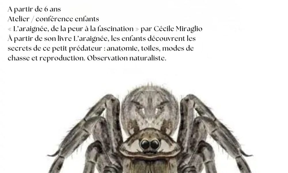 Affiches araignée