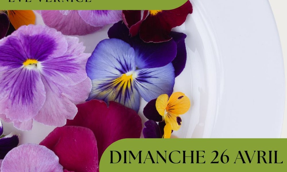 Visuels story PC (2)