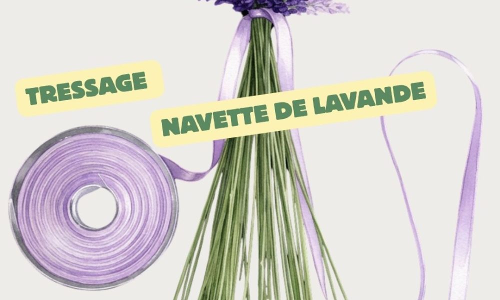 ateleir lavande ok